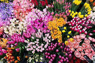 “炉火在，家就在” 《英雄联盟》“米利欧：明烛”英雄宣传片